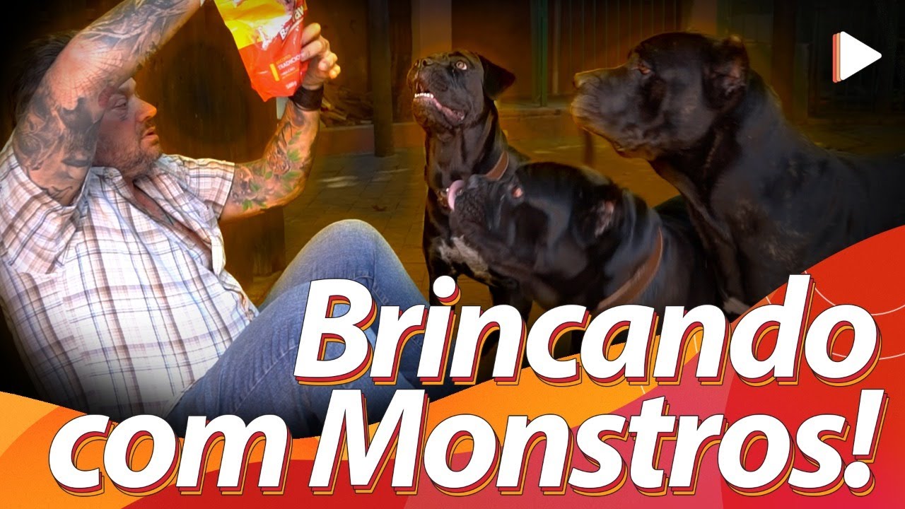 @Richard Rasmussen BRINCANDO COM OS CANE CORSO | BAW WAW