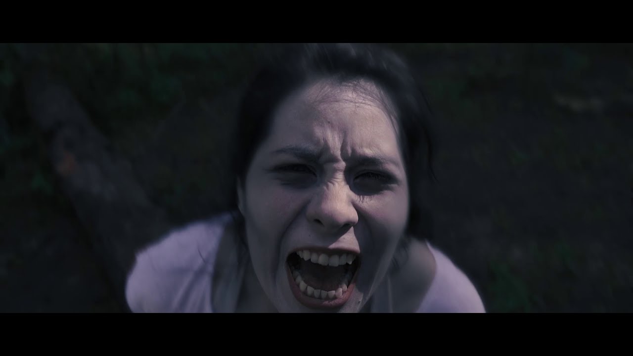VADRA Prevalecer (Official Music Video)