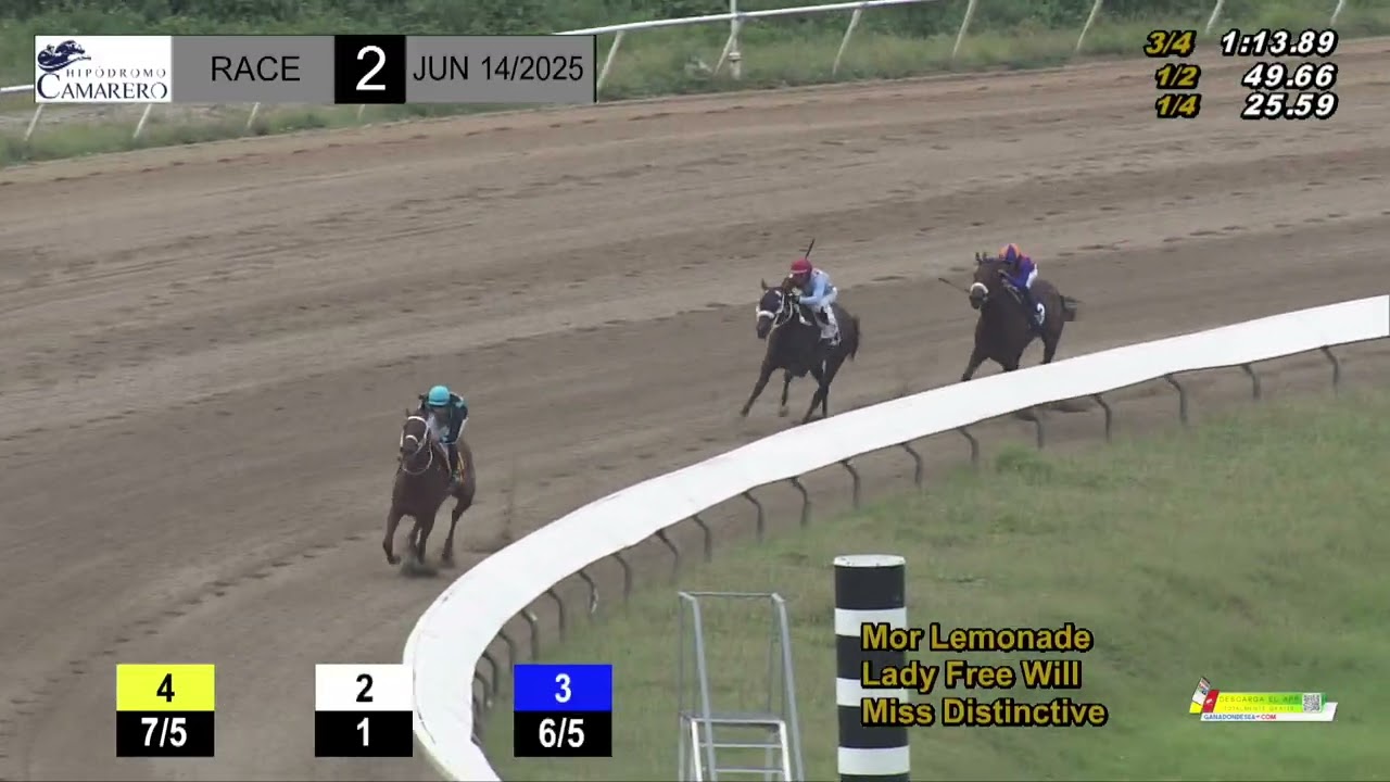 CARRERA 2 - 14/JUNIO/2025 (MOR LEMONADE)