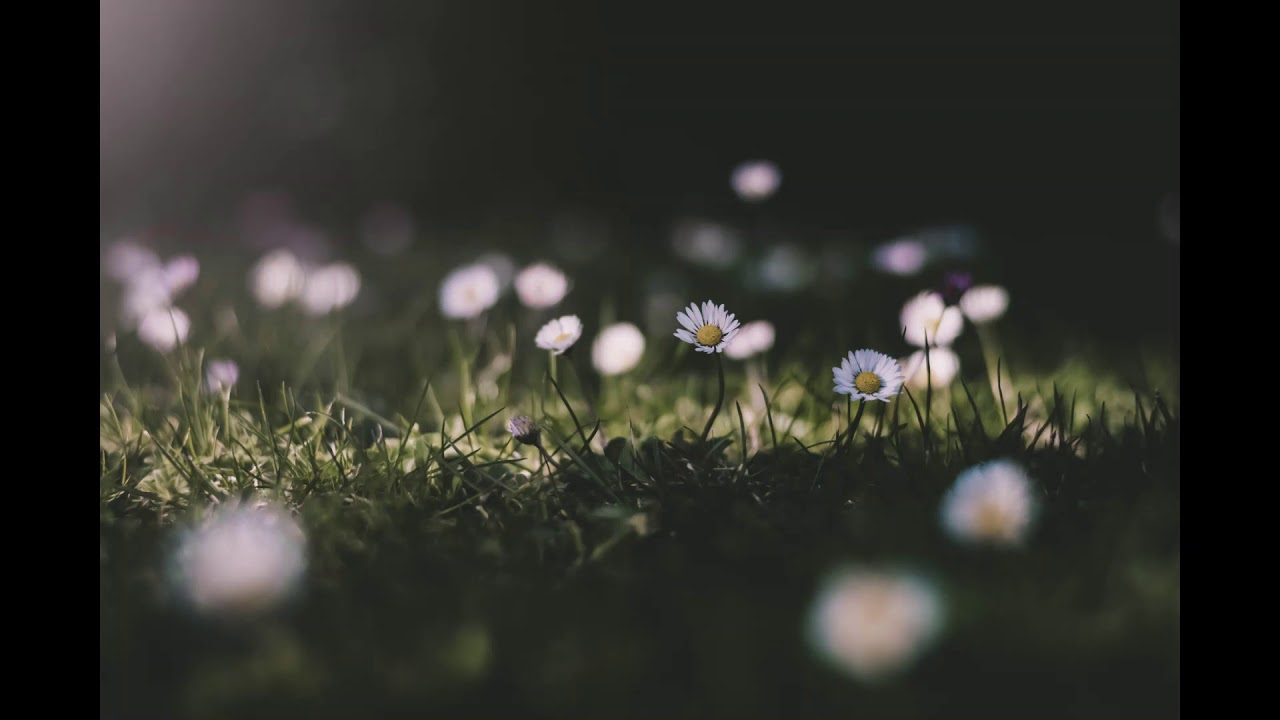 Keys to infinity. 2 Hours of beautiful piano music!