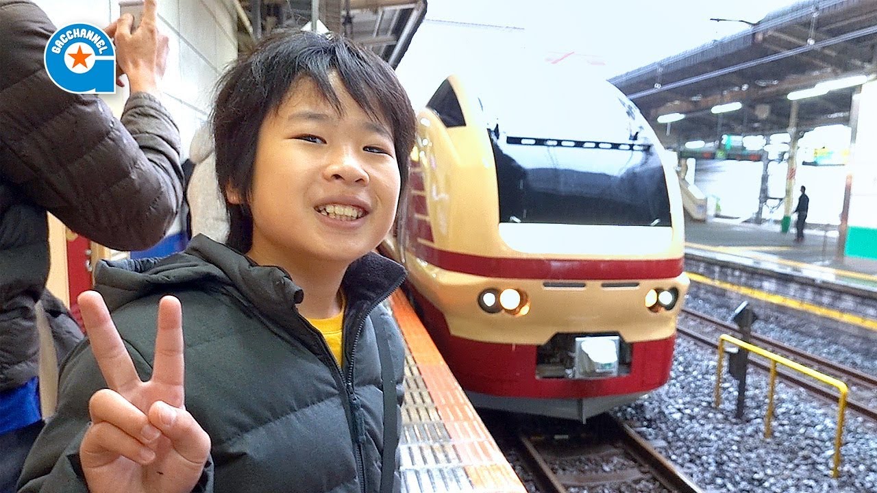 国鉄色 のE653 ‼️ぶらり高尾散策号 に乗りました【がっちゃんの電車で行こう！シリーズ】