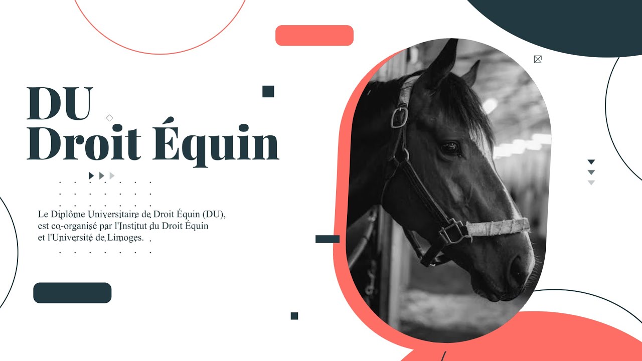 FORMATION : Dipl&ocirc;me Universitaire Droit &Eacute;quin