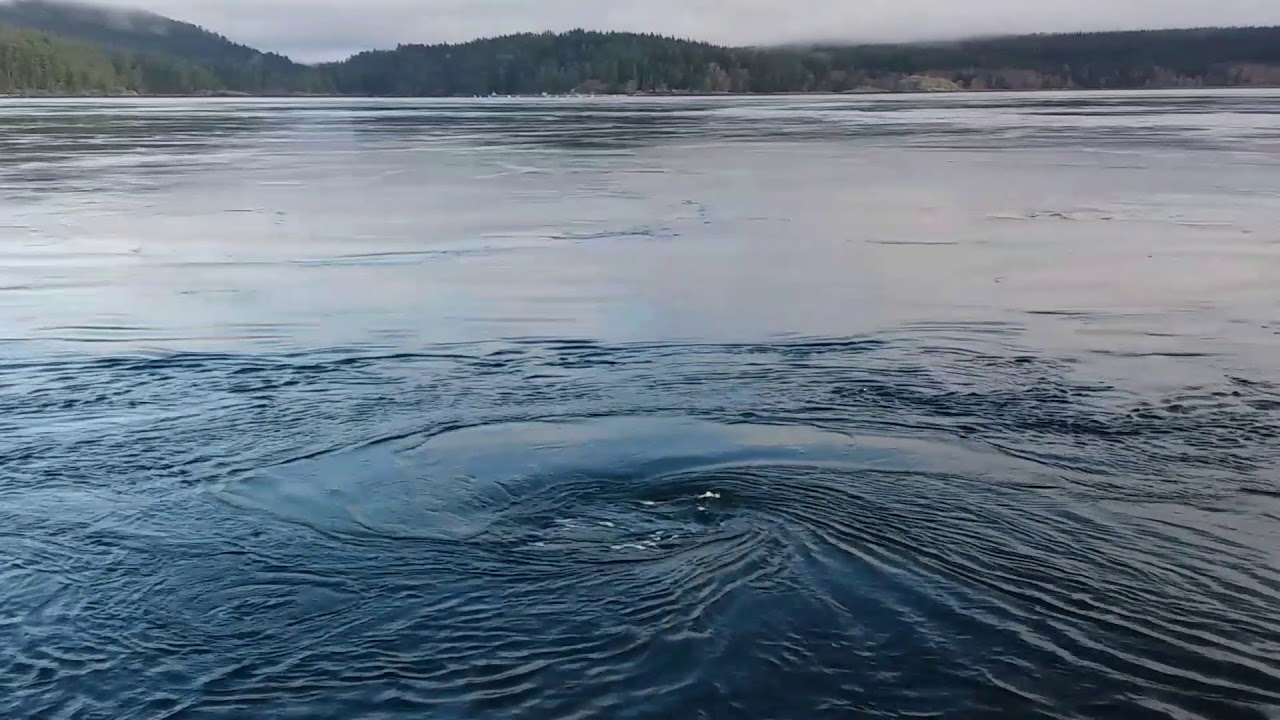 15.5kt Seymour Narrows GIANT WHIRLPOOLS - Sailing Oka Solo - 011