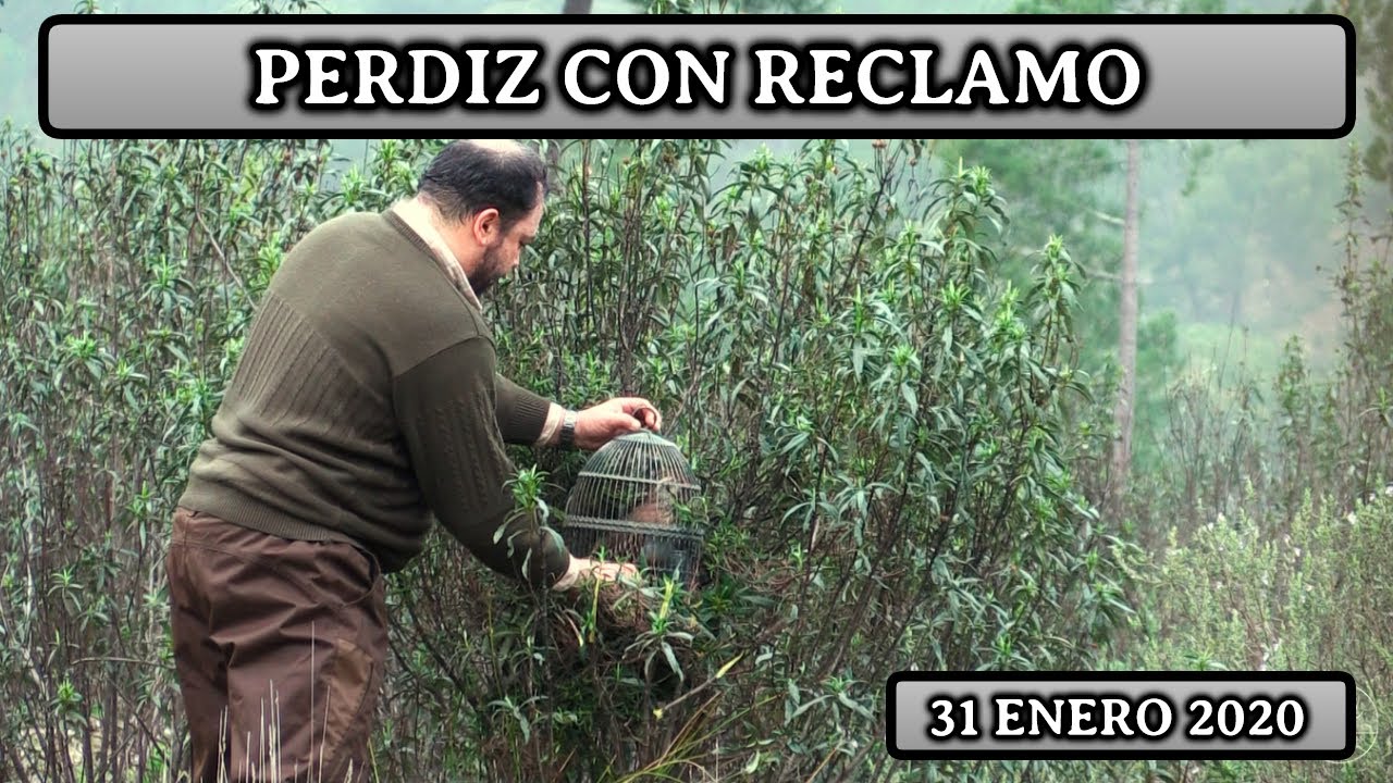 PERDIZ CON RECLAMO | 1º Parte Jerónimo