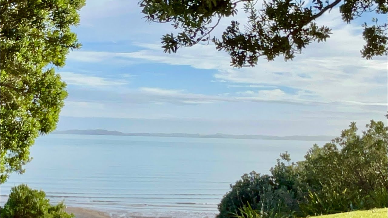 Calm Coastal Waves | Gentle Ocean Sounds & Bird Calls | 30 Minute Ambience