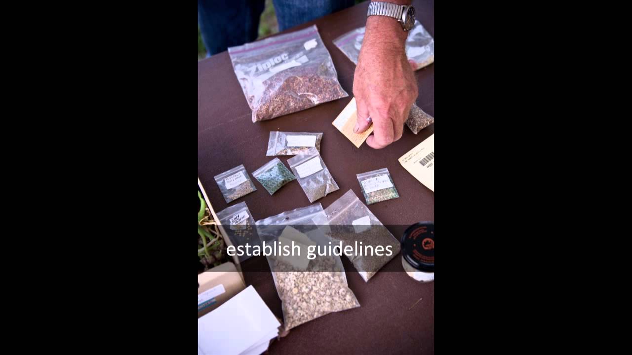 Webinar: Community Seed Projects