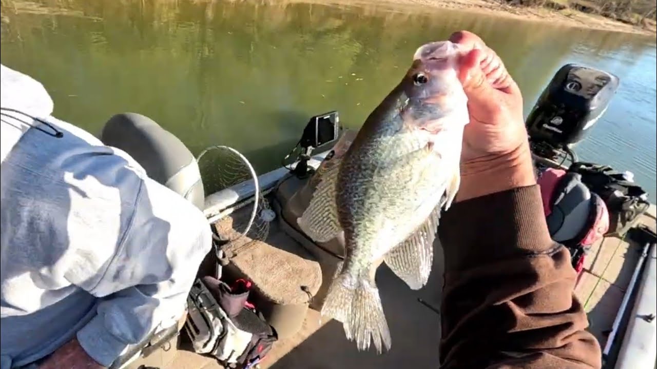 caught a few slabs using livescope 