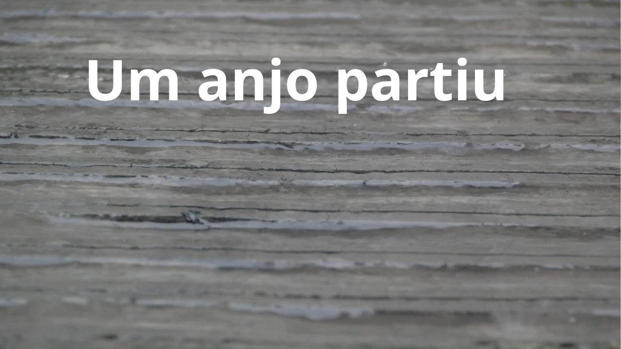 Um anjo partiu - Momento Esp&iacute;rita