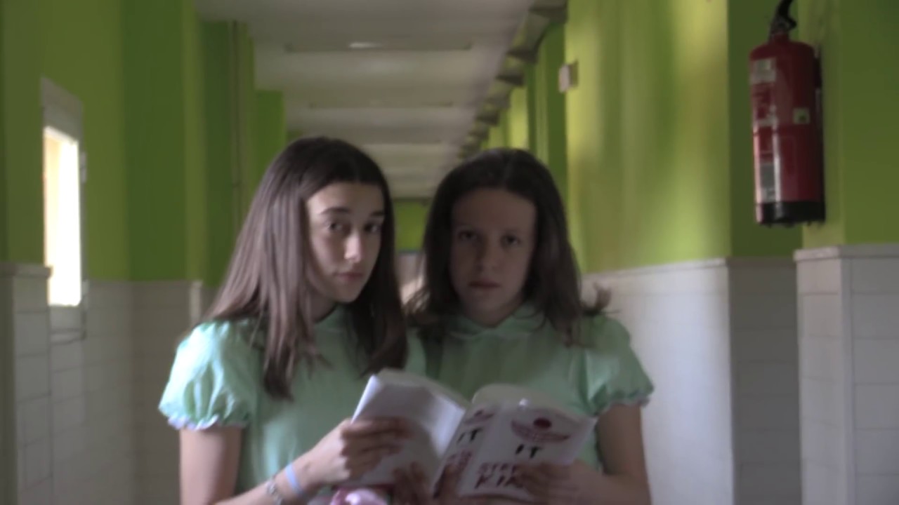 IES VdM dia do libro