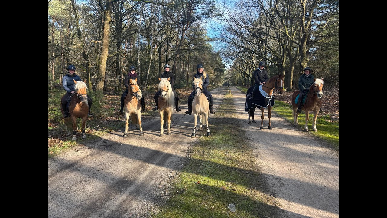 Nationaal Park Sallandse Heuvelrug 2025