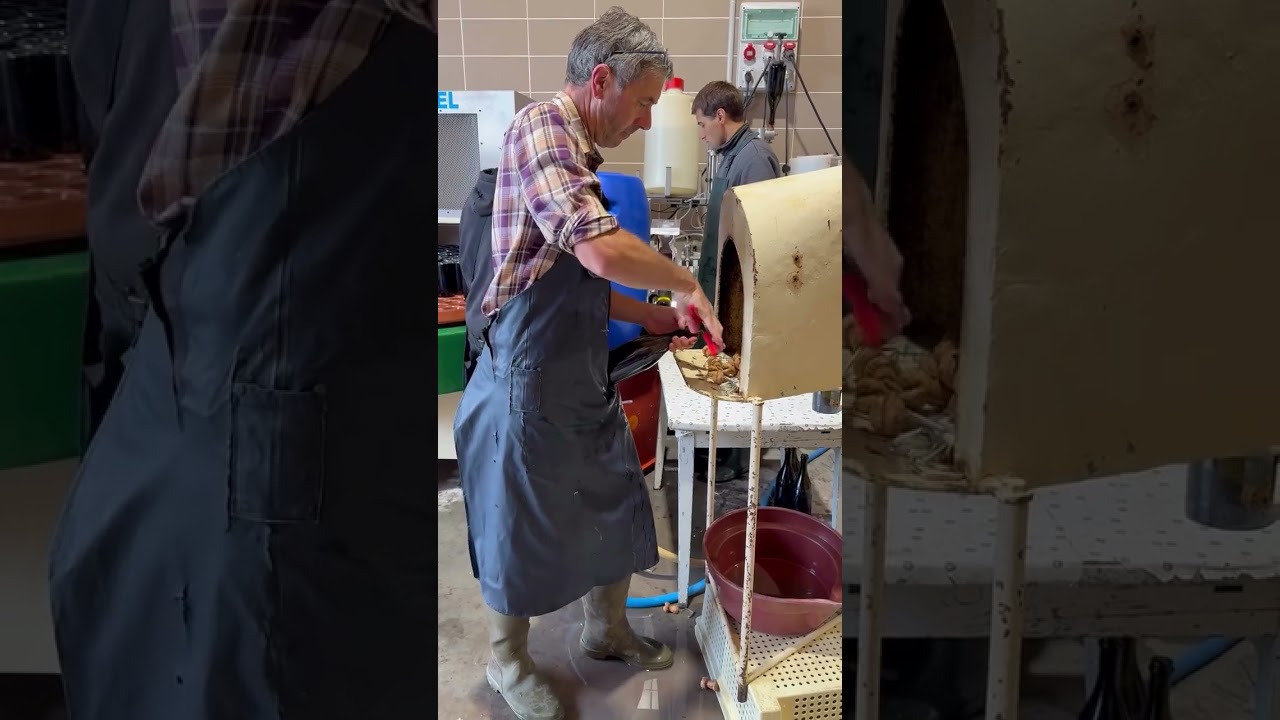 Behind the bubbles - A satisfying look at champagne disgorgement in action 🍾