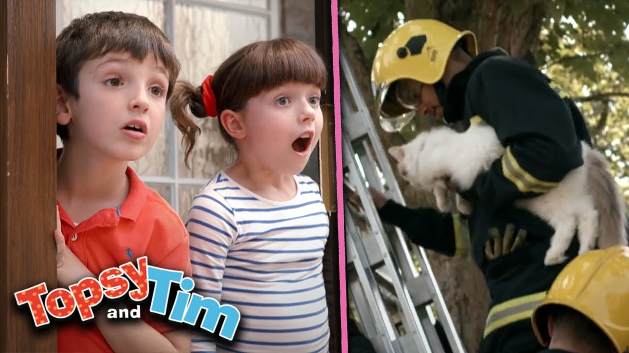 Topsy & Tim - Kitten Rescue! |  Full Episode Compilation | Shows for Kids | HD