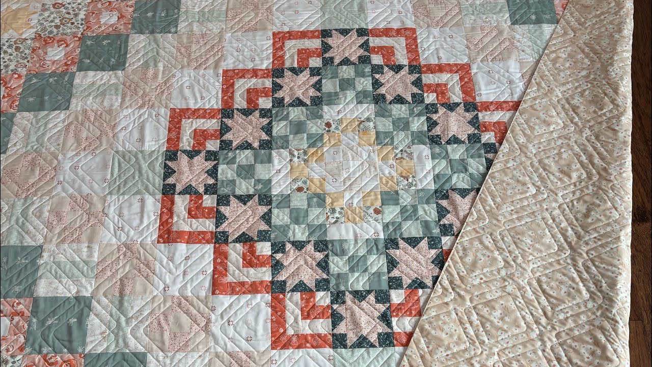 Southern Charm Quilts, Dragonfruit, Tula Pink, Panel quilt, Density Part 2 - Video 154