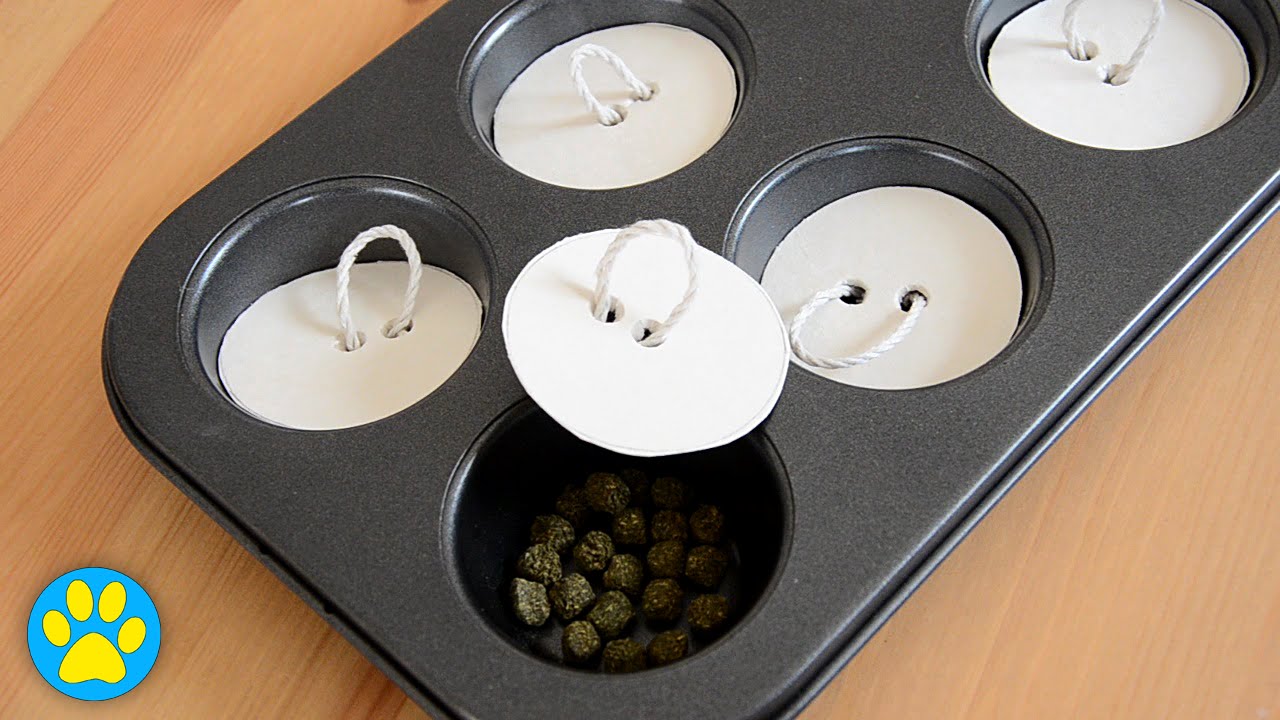 DIY Interactive Rabbit Toy
