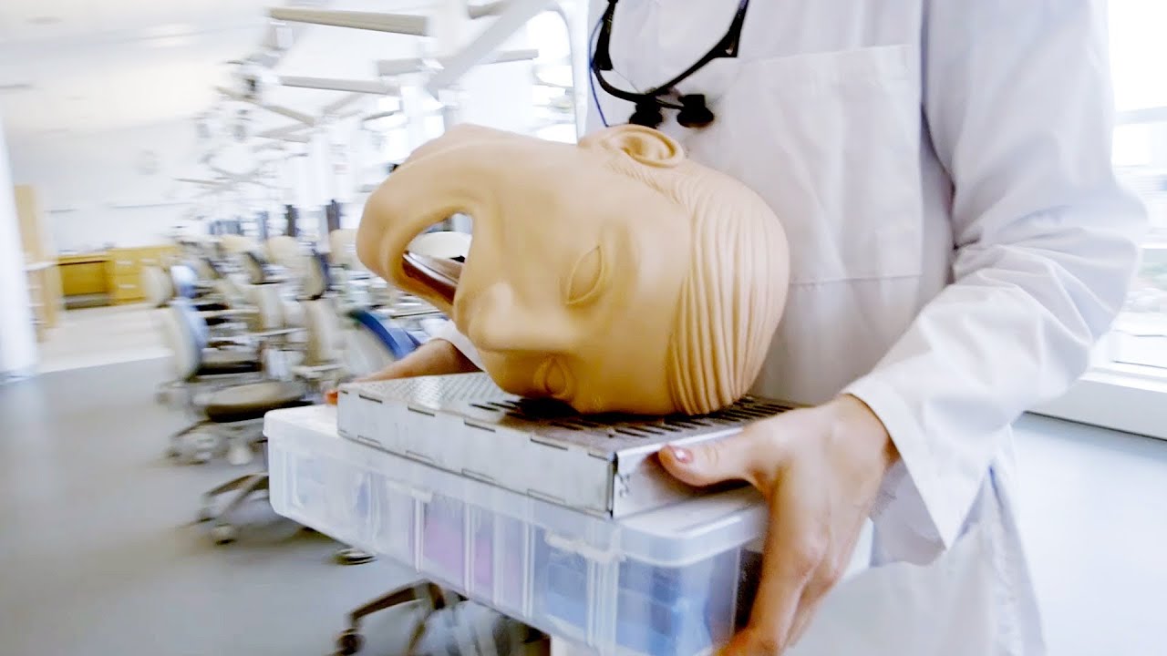 A Head for Dentistry