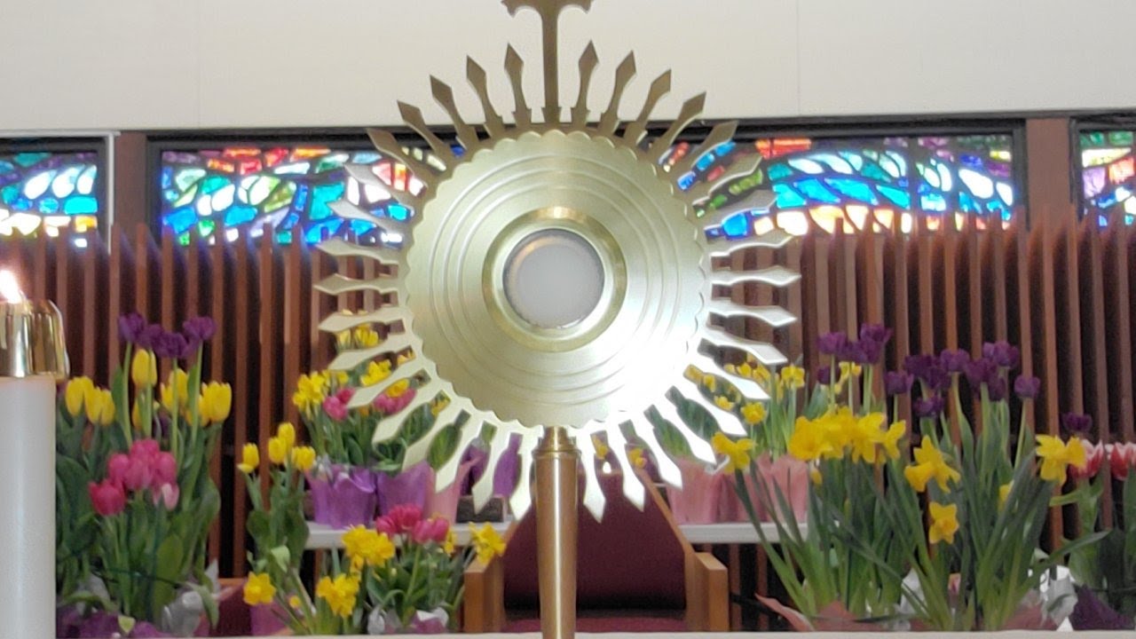 Eucharistic Adoration Easter Sunday Live