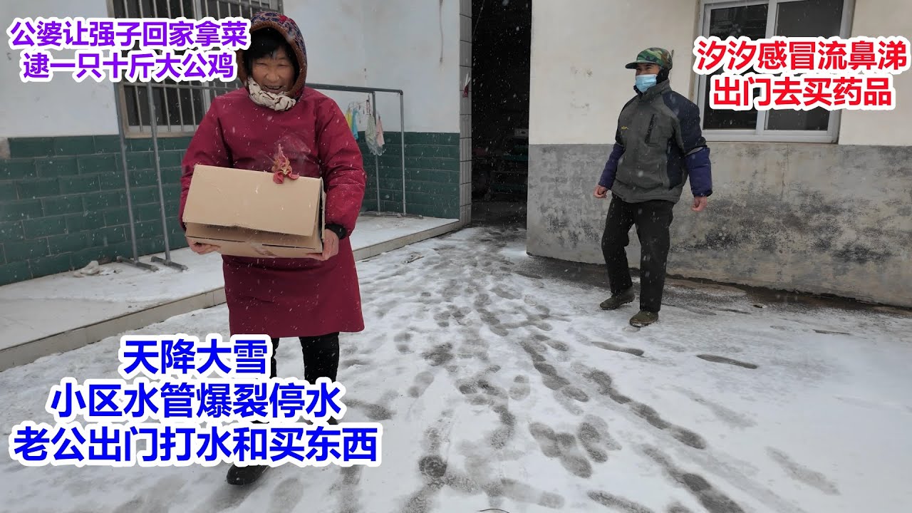 天降大雪，小区水管爆裂停水，老公出门打水和买东西，公婆让强子回老家拿菜，还逮一只十斤的大公鸡，汐汐感冒了，顺便出门买药品