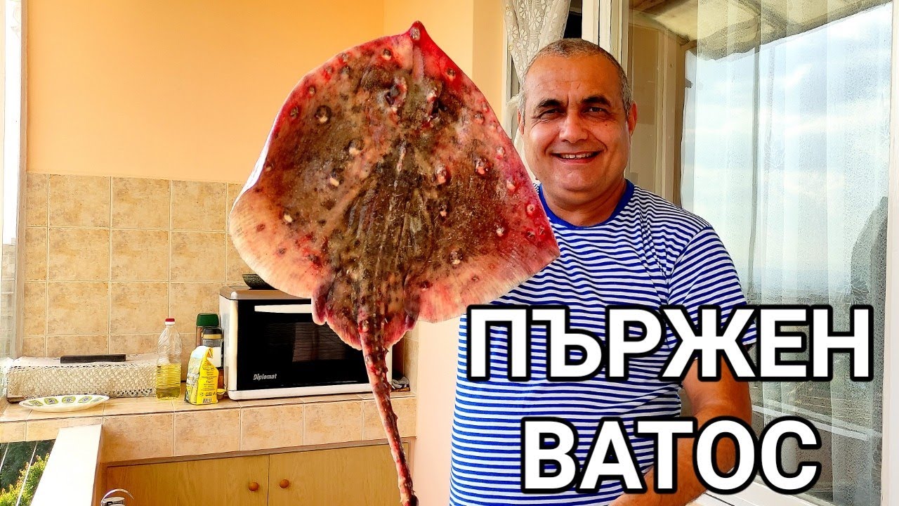 ПЪРЖЕН ВАТОС (МОРСКА ЛИСИЦА)! ДЪННА РИБА С НЕ ЛОШ ВКУС И ХРУЩЯЛНИ КОСТИ! НЯМА ОТРОВЕН ШИП! БЕЗОПАСНА