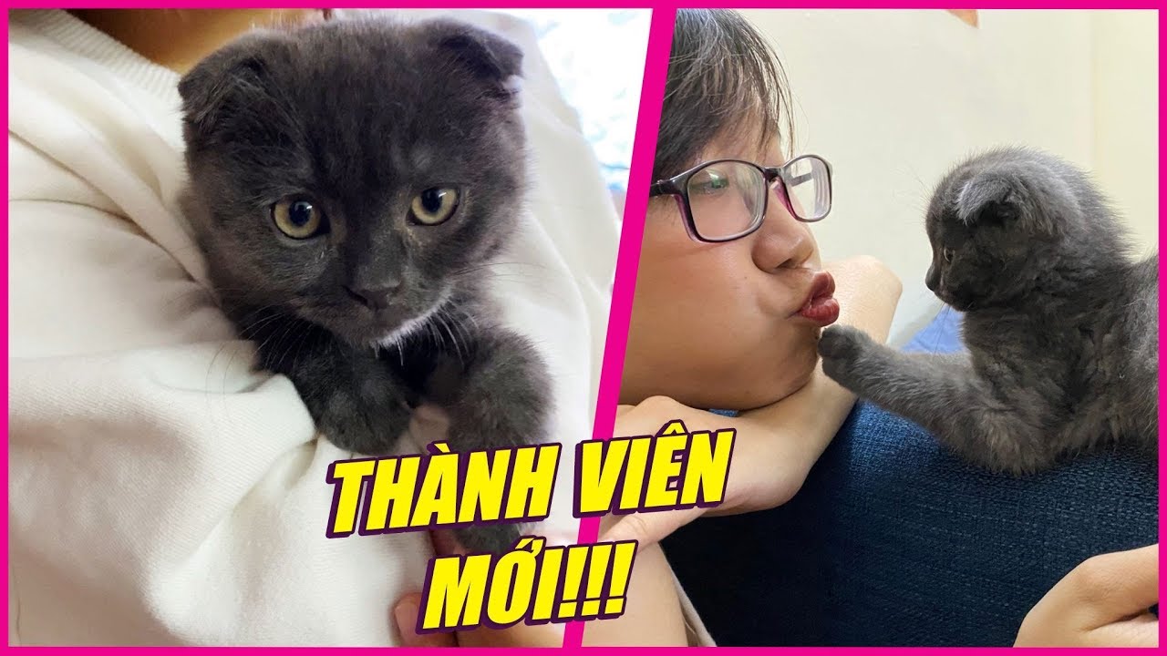 VLOG ĐẶC BIỆT: CÙNG BẠN Q ĐÓN 