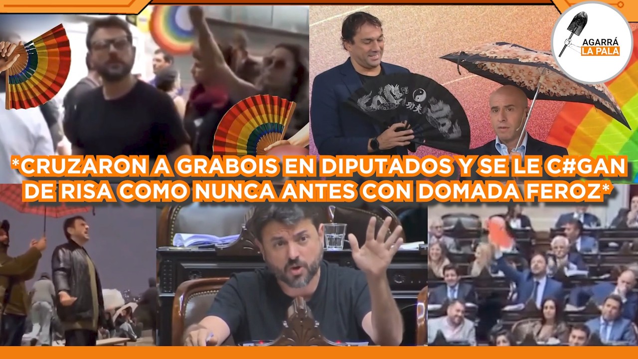CRUZARON A GRABOIS EN DIPUTADOS Y SE LE C*GARON DE RISA CON LA DOMADA QUE MÁS LE DOLIÓ: 