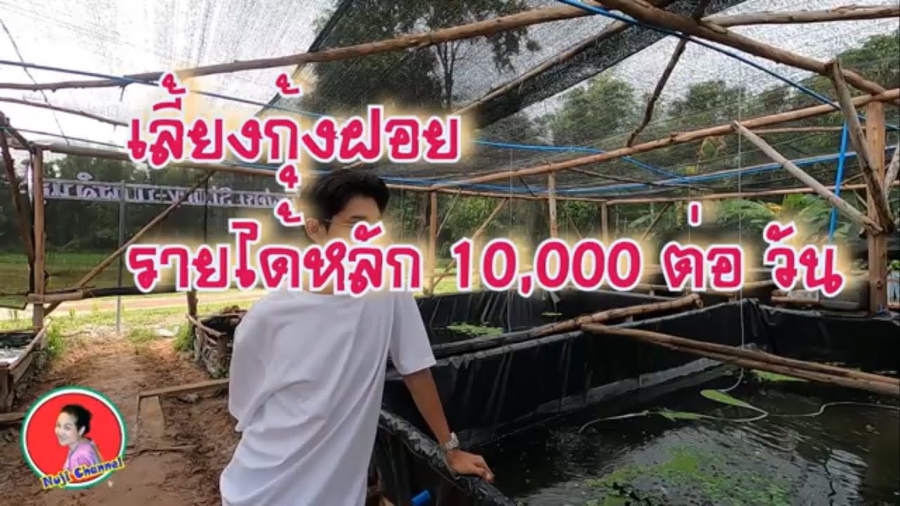 กุ้งฝอย รายได้หลัก 10,000 ต่อวัน   #storyฟาร์ม  #กุ้งฝอย #เลี้ยงกุ้งฝอย