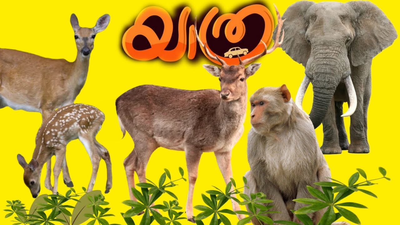 ബാംഗ്ലൂർ യാത്രയിൽ ഞങ്ങൾക്കുണ്ടായ അനുഭവം  😳😳😳😳