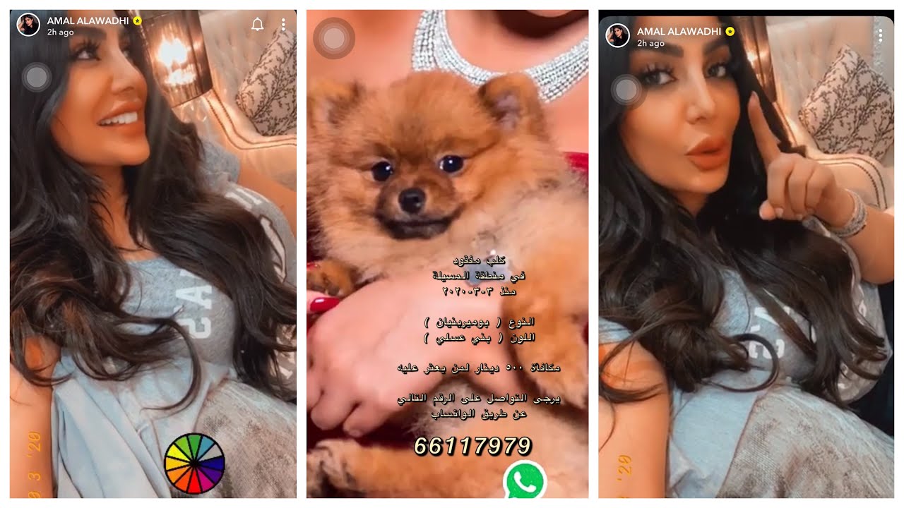 سنابات امل العوضي و جائزه لمن يجد كلبها اوسكار 🙂❤️ ~ 11/3/2020