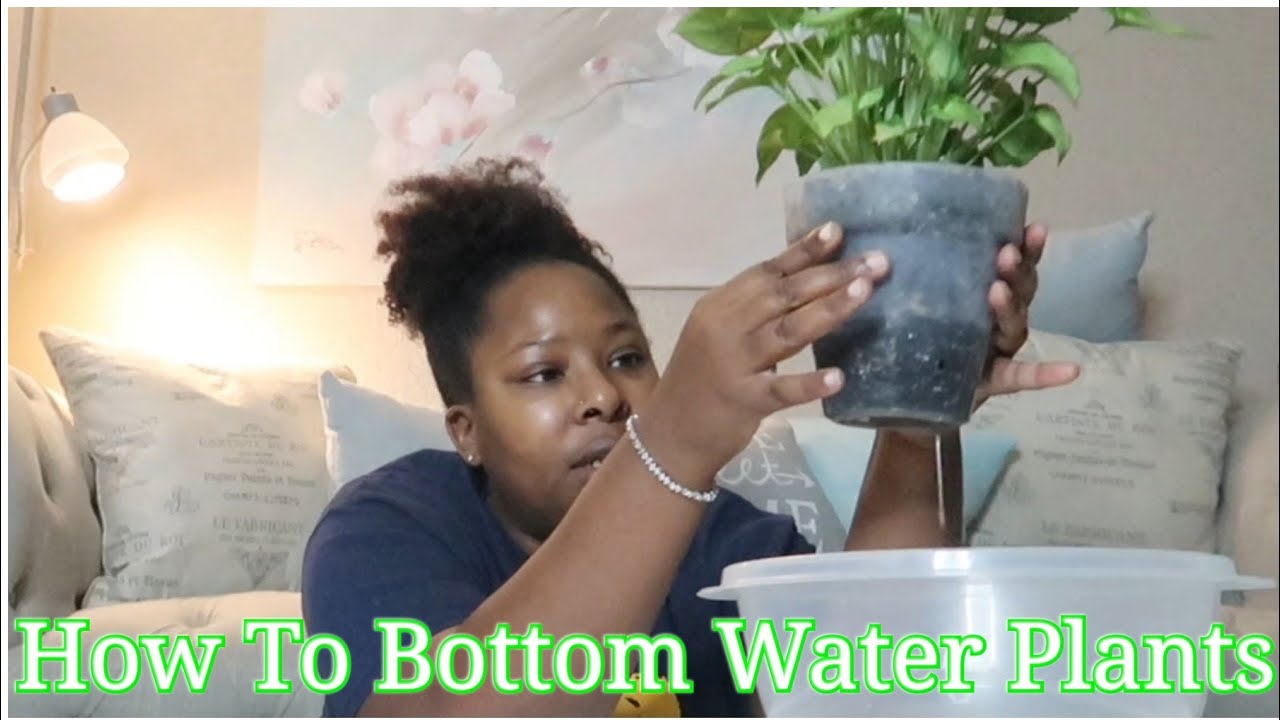 HOW TO BOTTOM WATER PLANTS