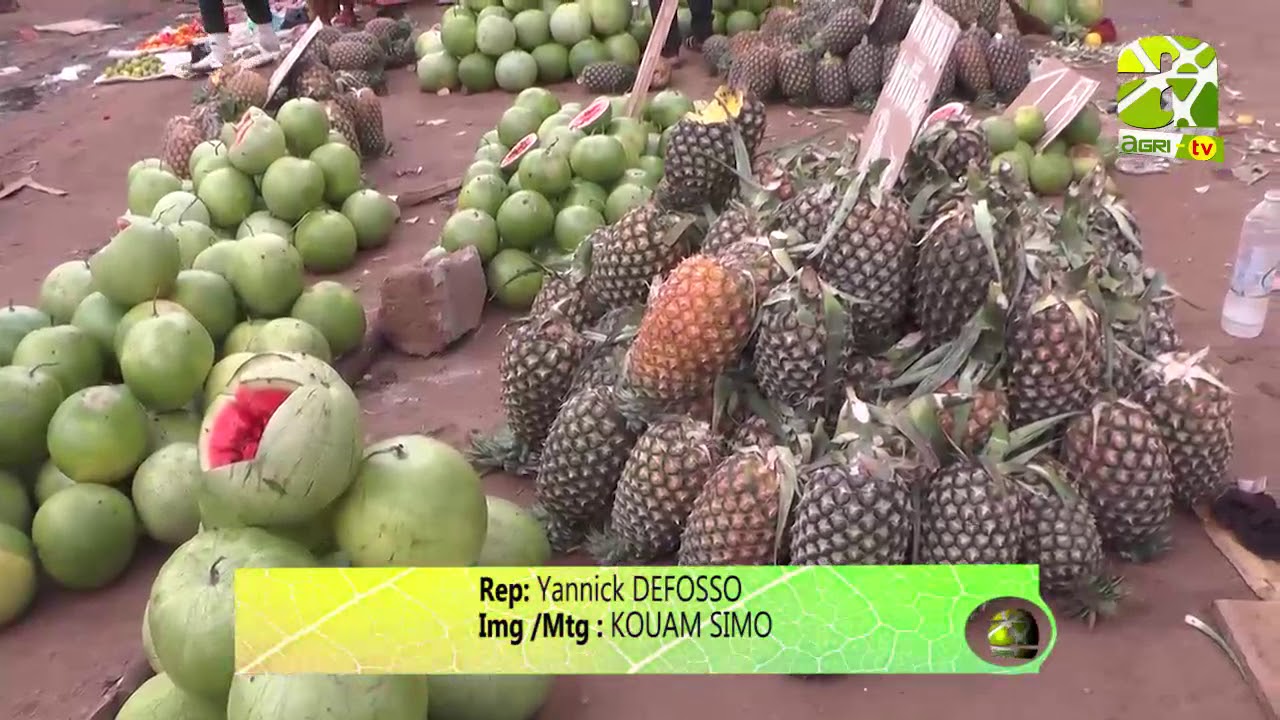 #Journal #Télé du 25 avril 2018 sur #Agri-#TV.