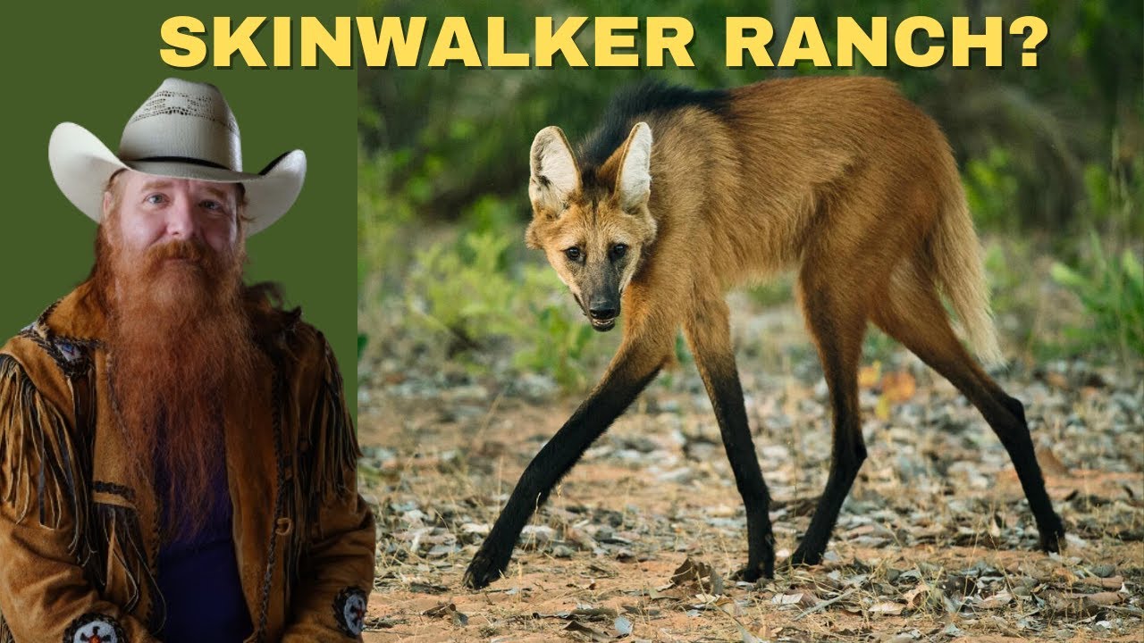 Creatures on Skinwalker Ranch? | Ask Me Anything