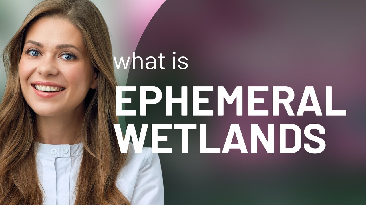 Ephemeral Wetlands: Nature's Temporary Aquatic Wonders