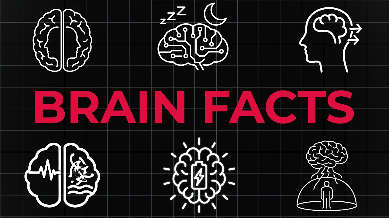 4 Hours of Strange Brain Facts That Make Reality Feel Unreal