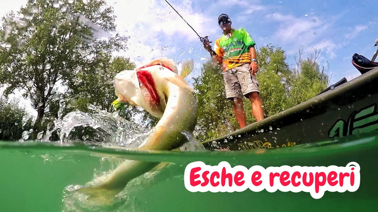 BASS FISHING - Come Recuperare le esche - Texas/Jig/Spinnerbait/Crankbait