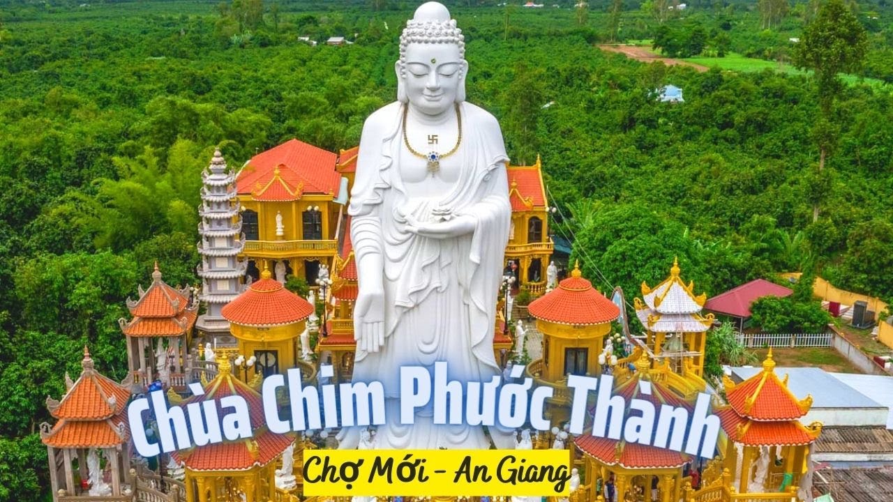 Chùa Phước Thành (Chùa Chim) Cù Lao Giêng Chợ Mới An Giang | Chùa Có Tượng A Di Đà Cao 39m | SaLa TV