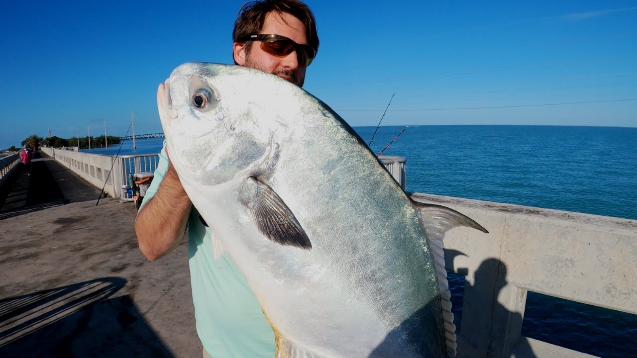 Pesca De Palometas desde Puente en los Cayos de la Florida!