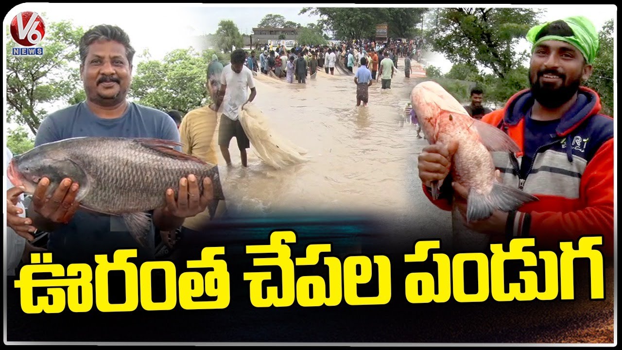 Public Fishing At Village Dam | Karimnagar | V6 News