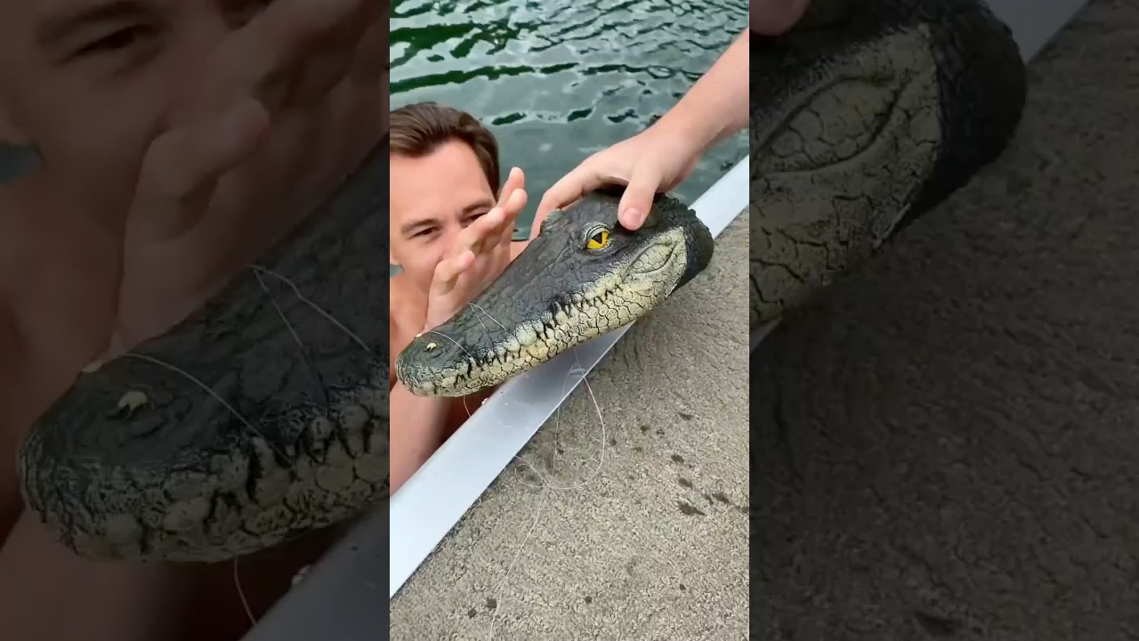 She&rsquo;ll never go fishing again!🐊