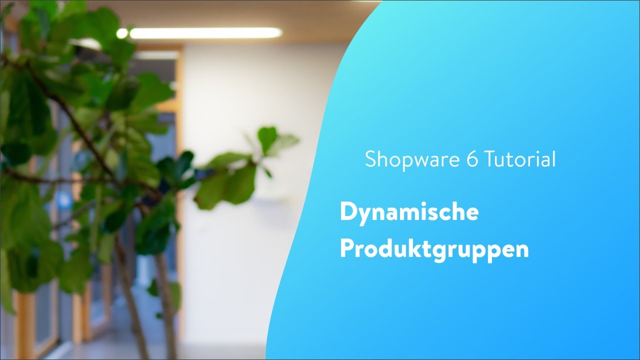 Dynamische Produktgruppen (Shopware 6 Tutorial)