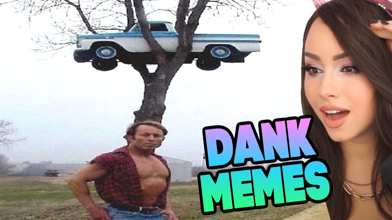 chaotic memes that broke the internet 🥴 REACTION !!!
