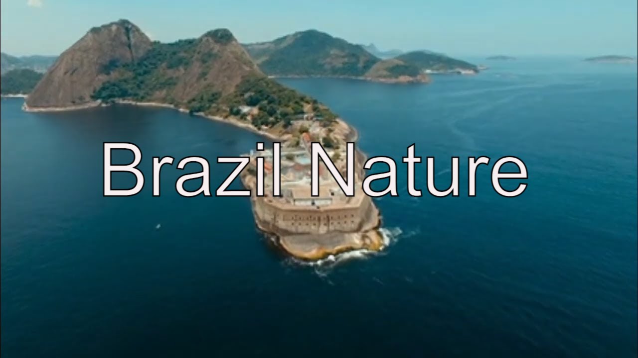 Explore the Wild Beauty of Brazil's Nature | A Journey Through the Heart of South America