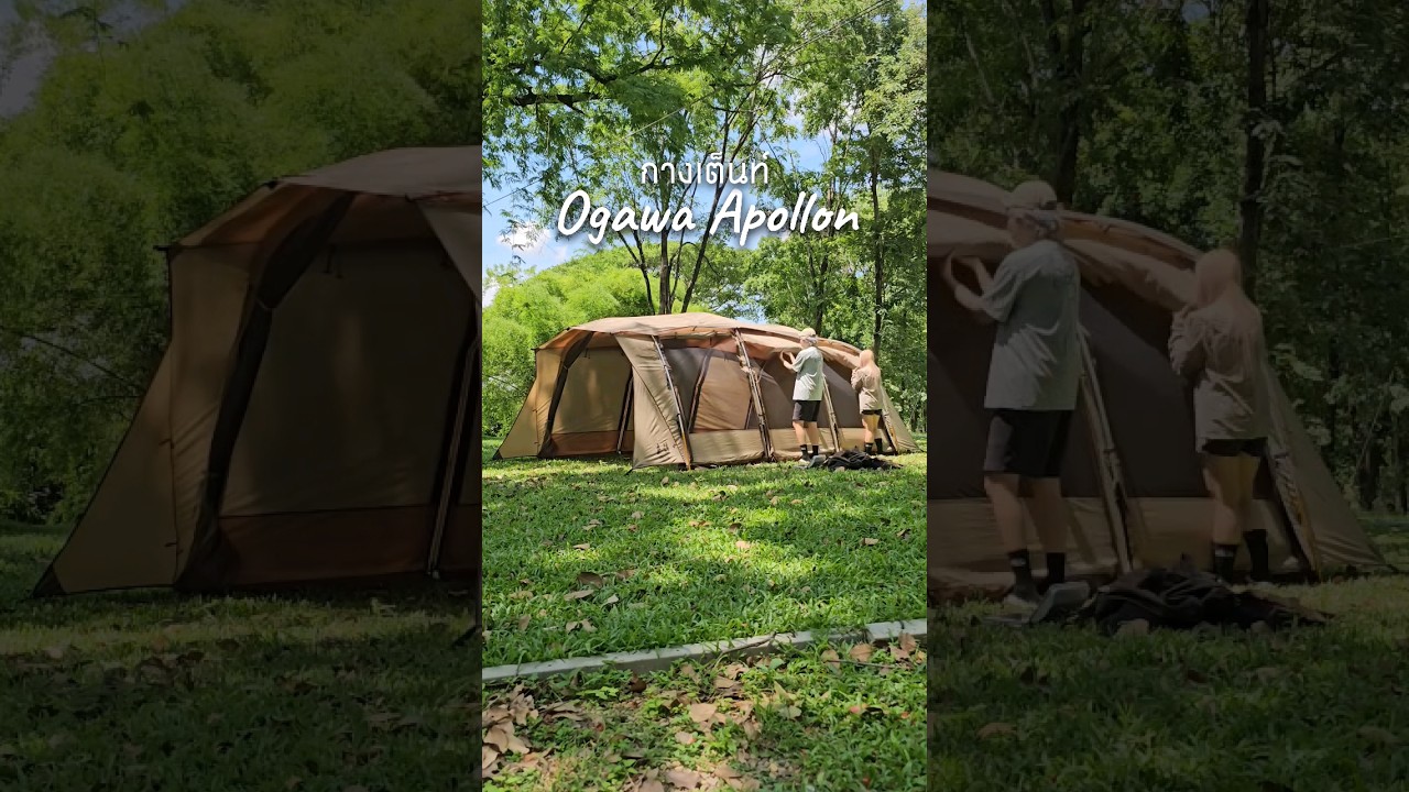 มากางเต็นท์ Ogawa Apollon #CABINSTAY #camping #กางเต็นท์ #tent #ogawatent #ogawaapollon #apollon