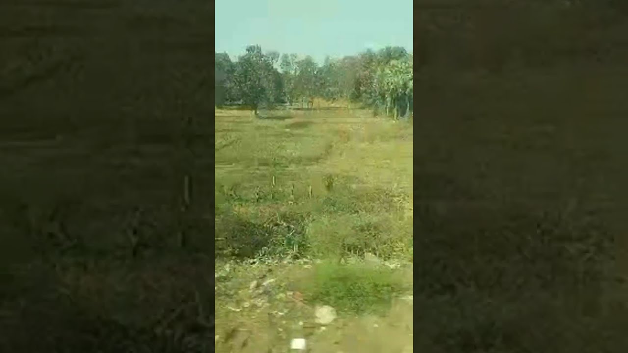 Anamika Barai  is live