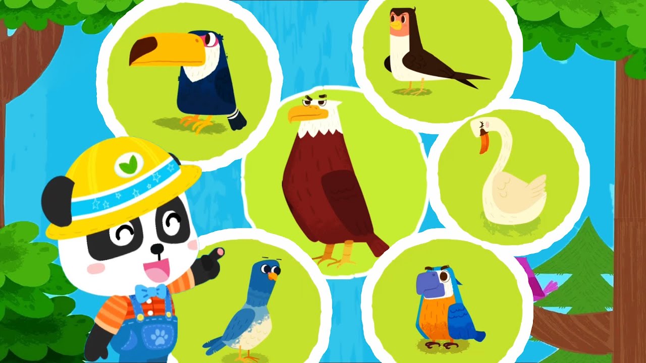 Baby Panda 's Bird Kingdom | Help Little Eagle Fly | Explore the Bird Habitats | Babybus gameplay