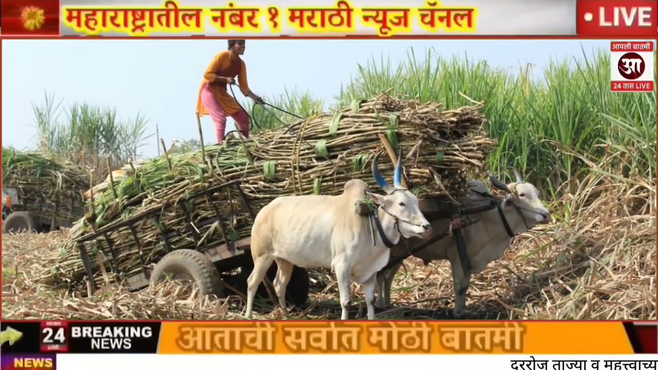 11 ऑक्टोबर 2025 शेतकऱ्यांसाठी ठळक बातम्या | कर्जमाफी | कापूस भाव PM योजना,pik vima | NEWS HEADLINES
