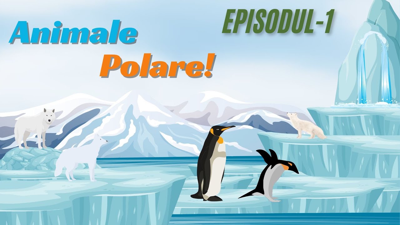 Animale Polare Episodul-1