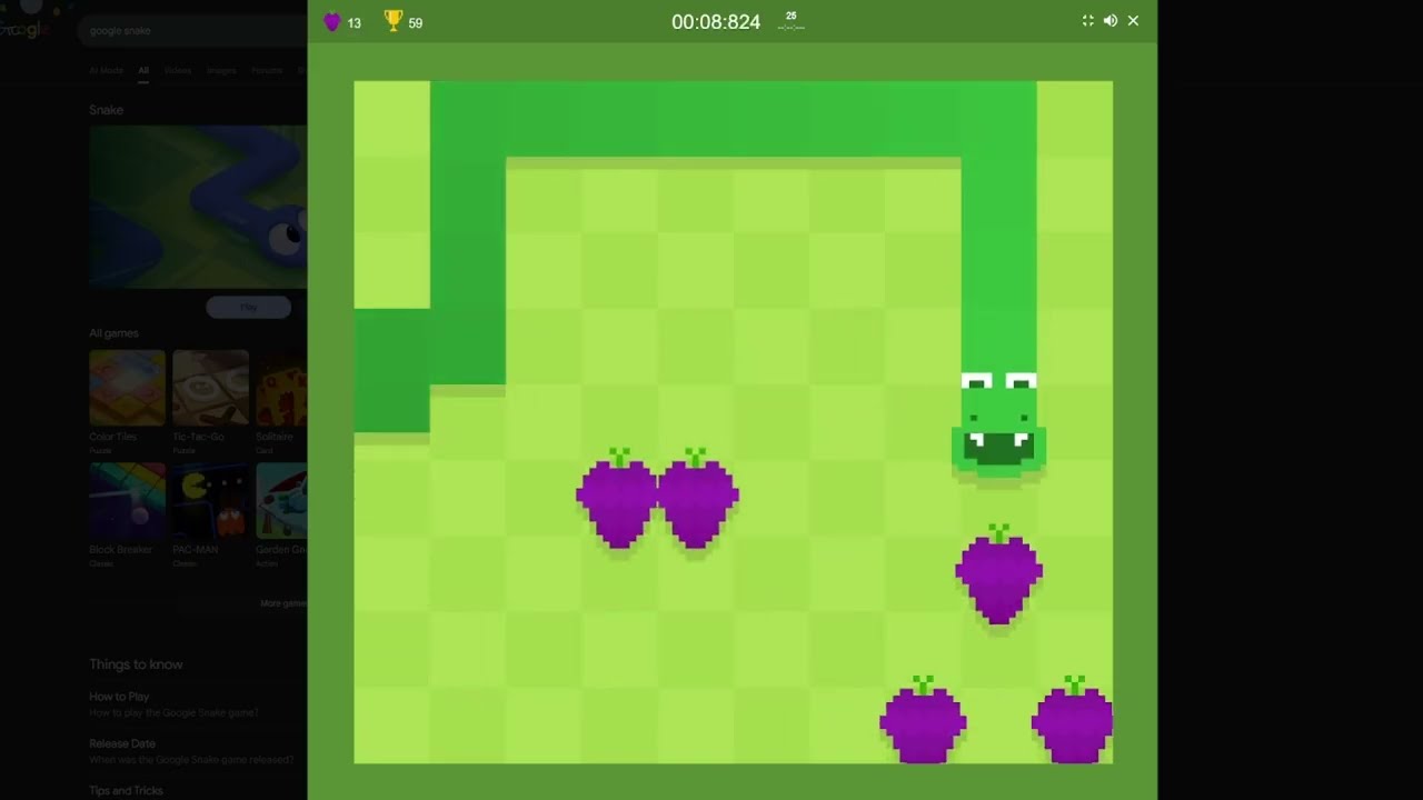 HARD GOOGLE SNAKE CHALLENGE!