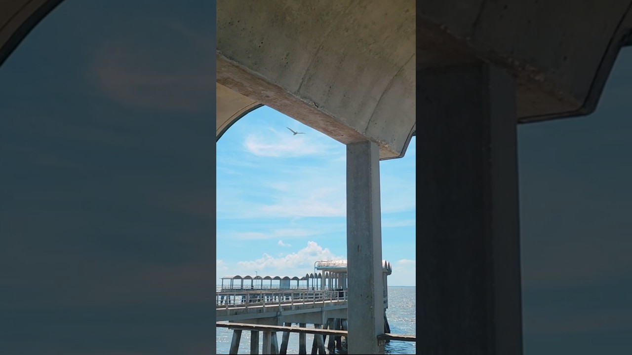 sunny vibes at Jekyll Island pier ☆ 