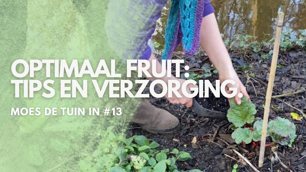 Optimaal fruit: Tips en verzorging, MOES de TUIN in #13