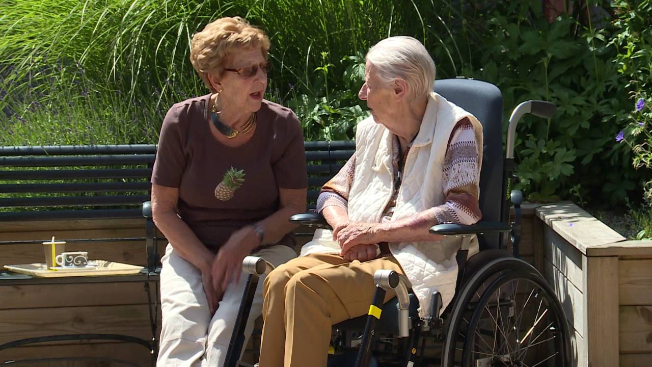 De Lerende Evaluatie