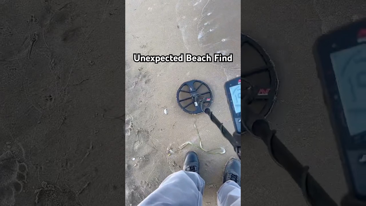 Unexpected beach find. #metaldetecting #beach
